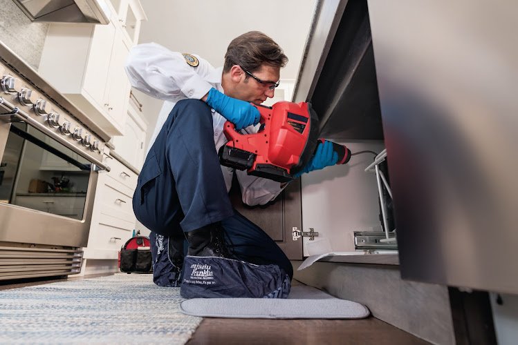 39649 benjamin franklin plumbing 1