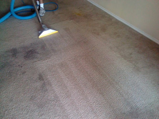 40261 acme carpet cleaning 1