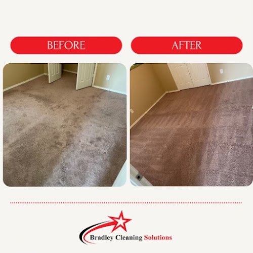 40313 bradley cleaning solutions 1