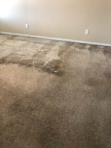 40352 jerrys carpet service 1