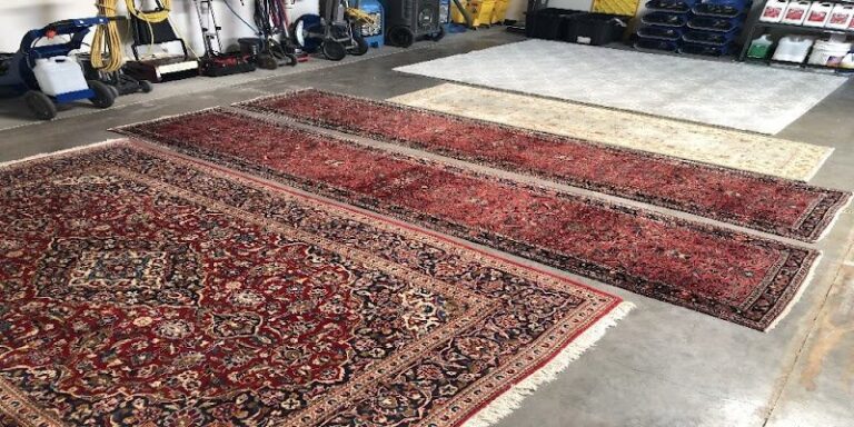 40355 toro steam cleaning 1 768x384