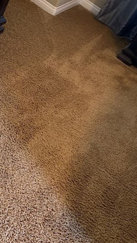 40367 x j carpet cleaning pleasant grove 1