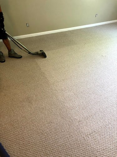 40511 vv carpet care