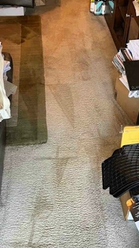 40582 the dry carpet cleaner 1