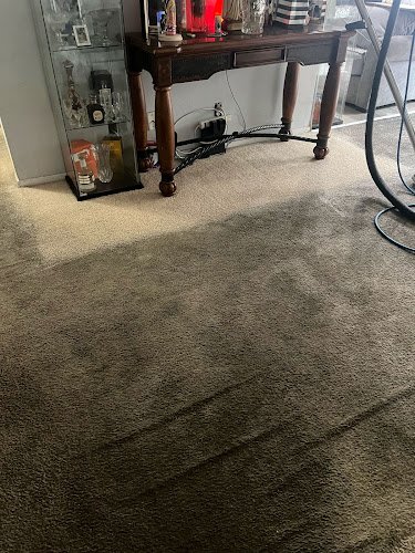 40603 zest carpet cleaning 1