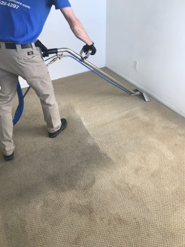 40606 blue rooster carpet cleaning 1