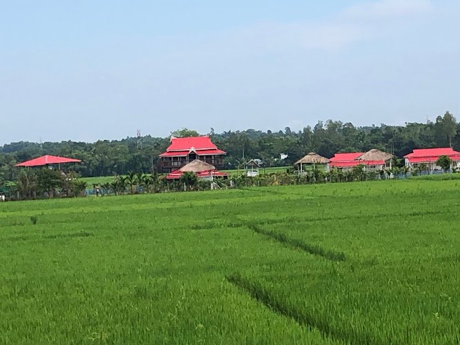 40642 zero odor carpet cleaning 1