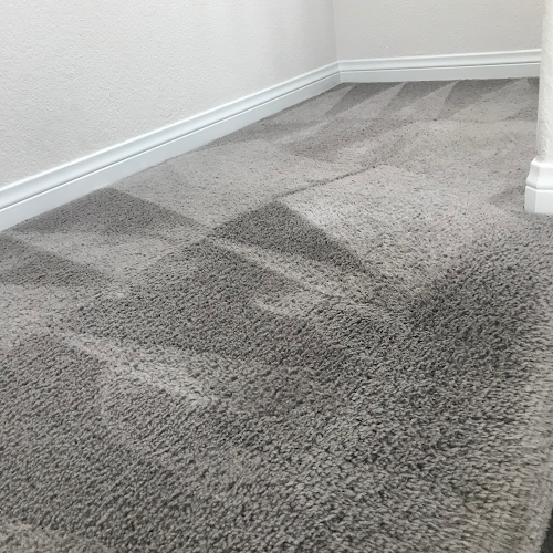 40675 go carpet cleaning 1