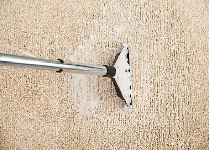 40687 le carpet and rug professionals 1