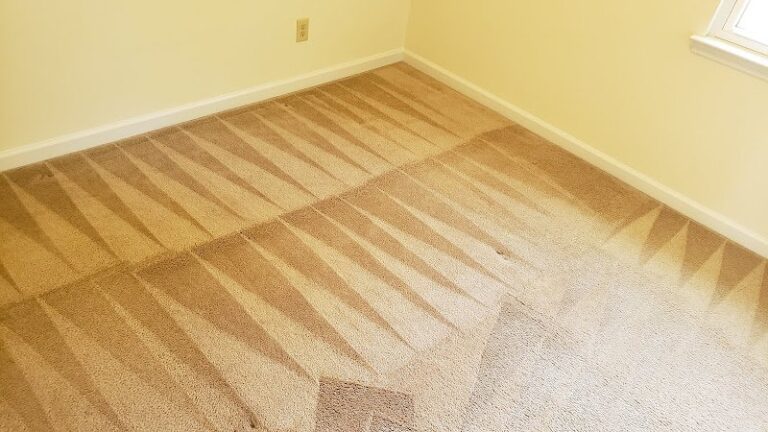 40742 clean n go carpet cleaning 1 768x432