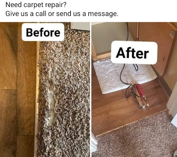 40768 the shine carpet cleaning and repair 1