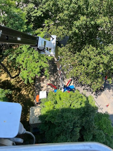 4082 sky top brothers llc 1