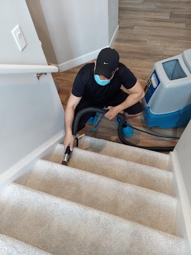 40890 upholstery cleaning hollywood 1