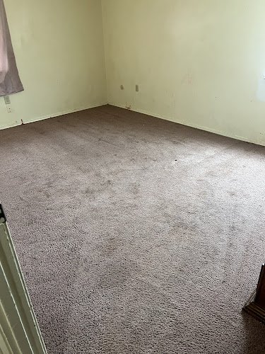 41000 brick city carpet cleaning 1