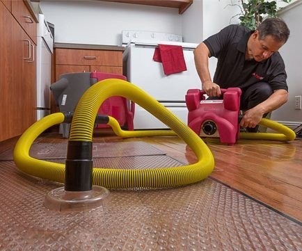 41006 puroclean emergency services 1