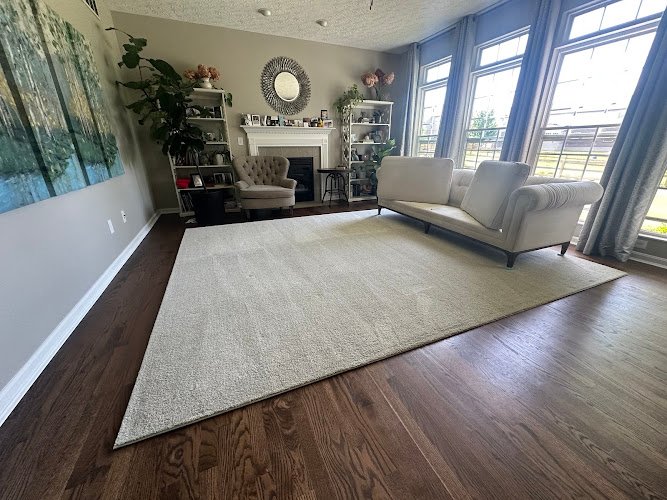 41042 apke carpet care 1