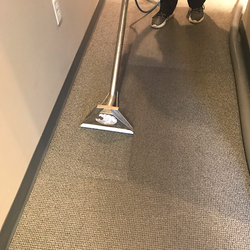 41113 coit cleaning restoration