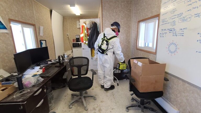 41152 gardner carpet cleaning 768x432