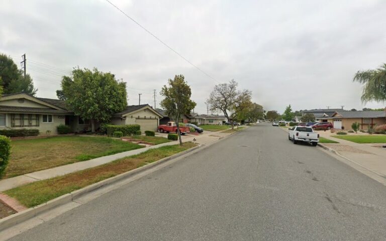 41299 langenwalter carpet dyeing 1 768x480