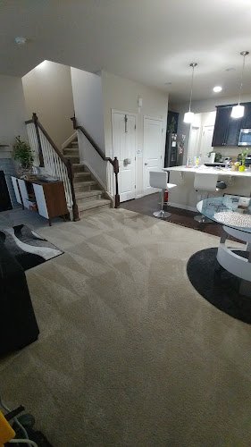 41311 next level carpet masters 1