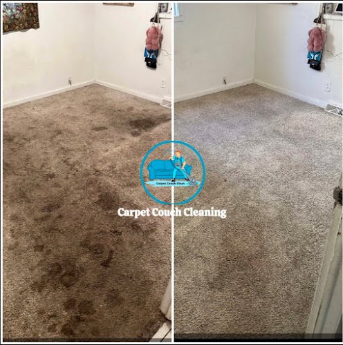 41370 carpet couch cleaning llc 1