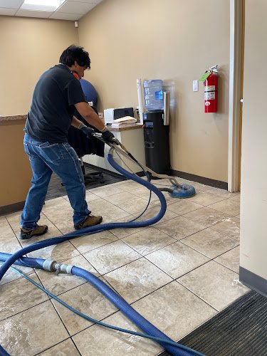 41400 bear cleaning restoration 1