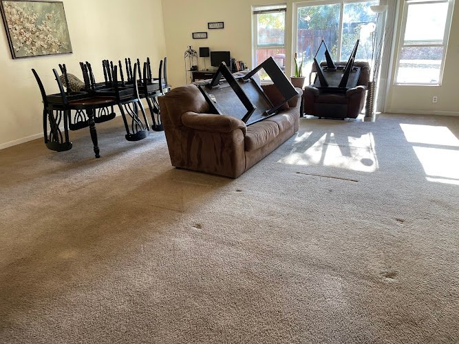 41424 eco clean carpet and tile care