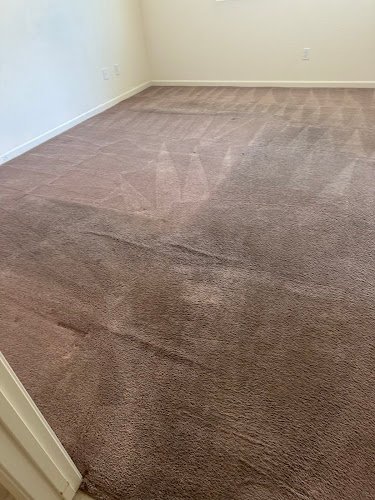 41448 green power carpet care 1