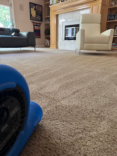 41511 morris carpet care 1