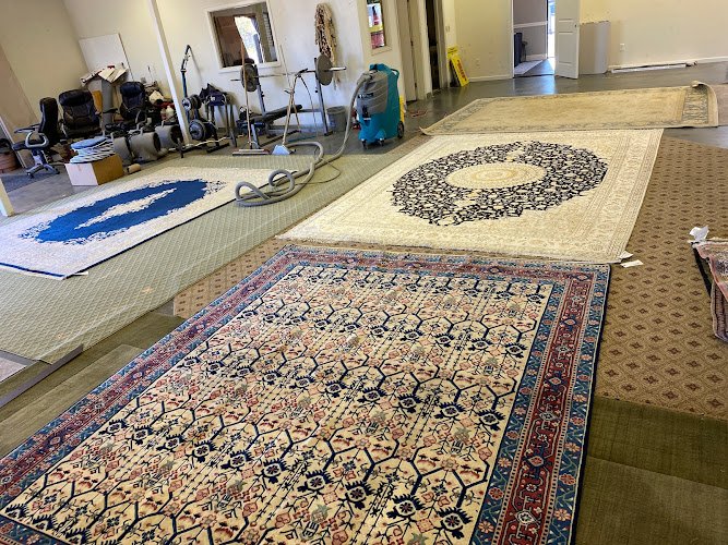 41529 stain busters 1