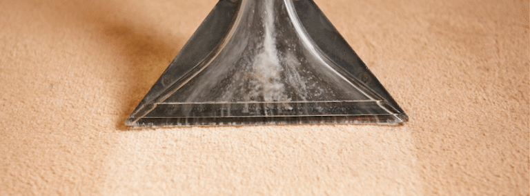 41612 true gold carpet service 1 768x284