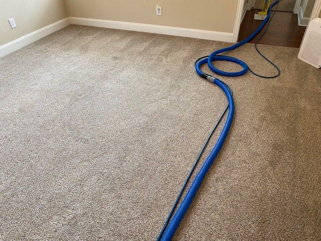 41660 tidy maids of frisco 1