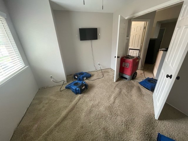 41701 dynaclean professional services 1