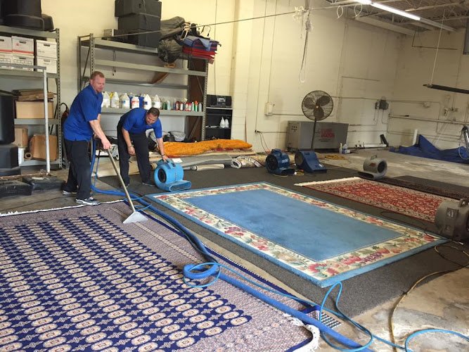 41701 dynaclean professional services 4