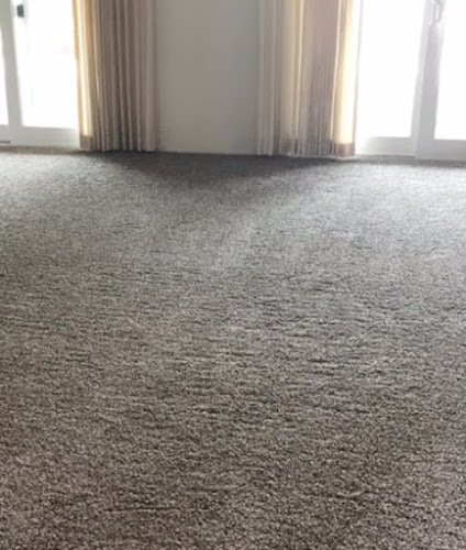 41730 surprise carpet cleaning co 1