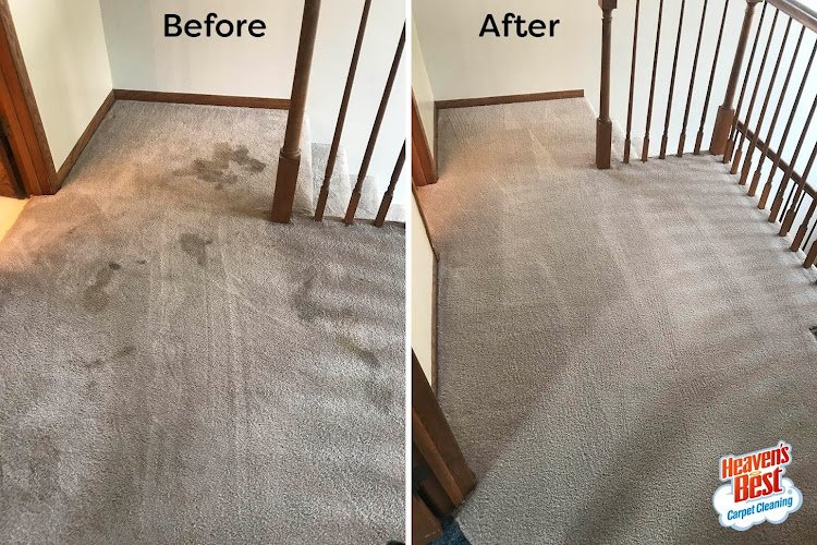 41757 heavens best carpet cleaning nw valley