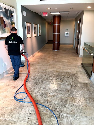 41768 euro green cleaning service carpet and tile cleaning 1