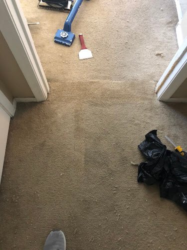 41801 julios pro carpet cleaning 1