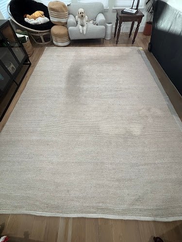 41819 kiwi services 5