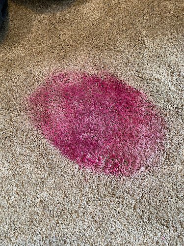 41868 first usa carpet cleaning building maintenance 1