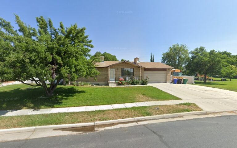 41968 bush carpet cleaning 1 768x480