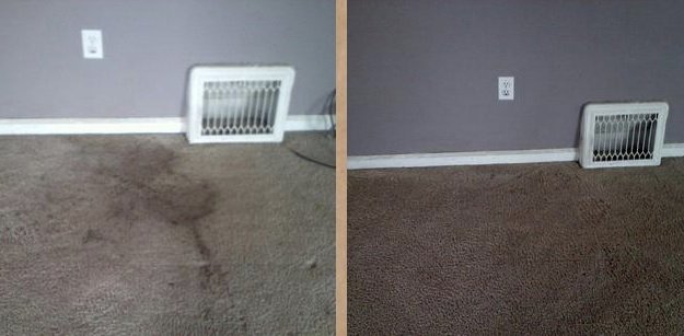 41992 fratto sons cleaning 1