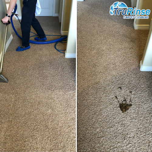 41997 trurinse carpet cleaning 1