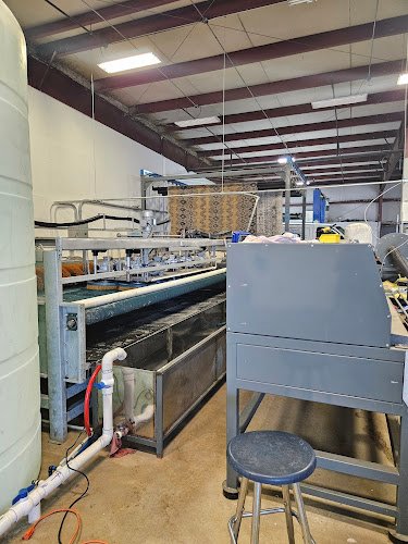 42006 salt lake city rug cleaning 1