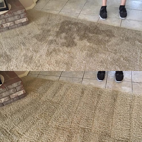 42009 rapid dry carpet cleaning restoration services 1