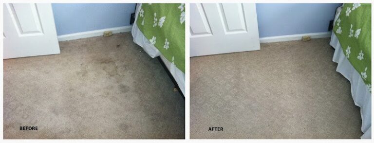 42017 citrus fresh carpet rug cleaning services 768x294