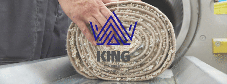 42041 king carpet cleaning sc 768x284