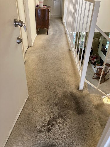 42047 first clean sc 1