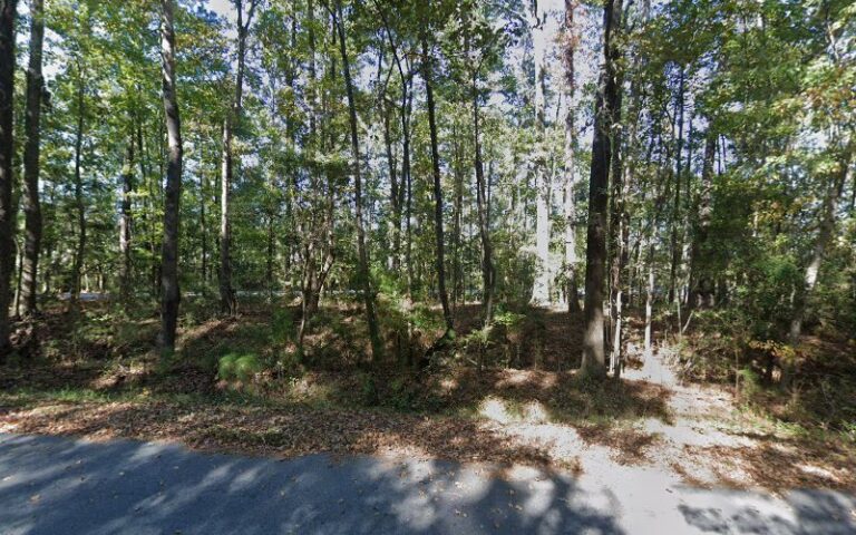 42080 earthcareclean 768x480