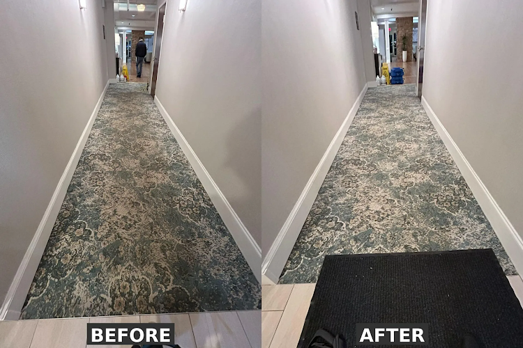 42118 carolina floor solutions 1